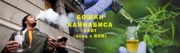 ГАЛЛЮЦИНОГЕННЫЕ ГРИБЫ Вязники