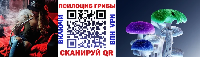 Псилоцибиновые грибы Psilocybe  Купить закладки  Малоархангельск 